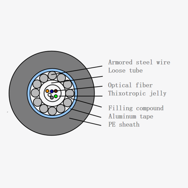 Central tubo optical rhoncus gyexty / s / a