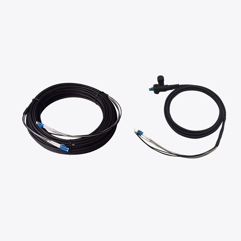 LC / FC / CATRICTED COMMUNICULUS FIBMER PECUNIA